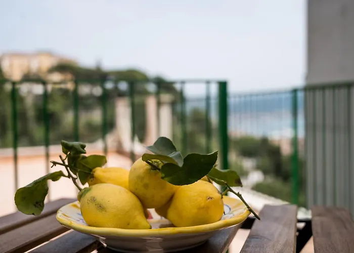 Terrazza Mediterranea
